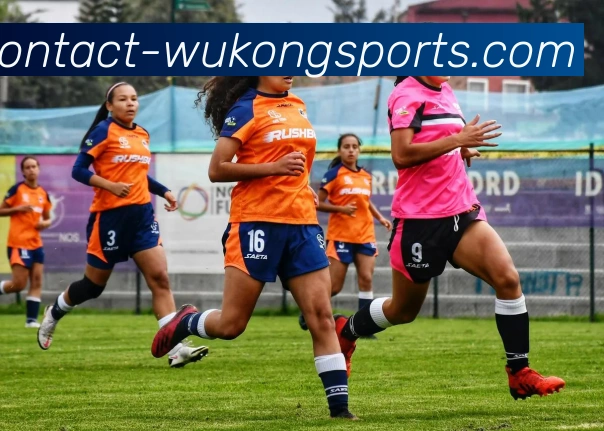 悟空体育平台生态图